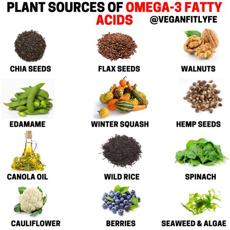 omega 6 vegan sources|omega 3 6 9 vegetarian.